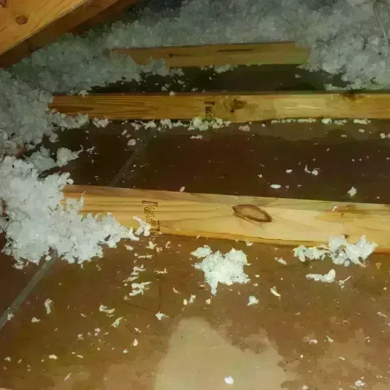 Attic Water Damage in Tipton, CA