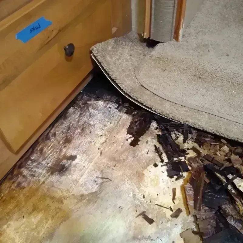 Wood Floor Water Damage in Tipton, CA